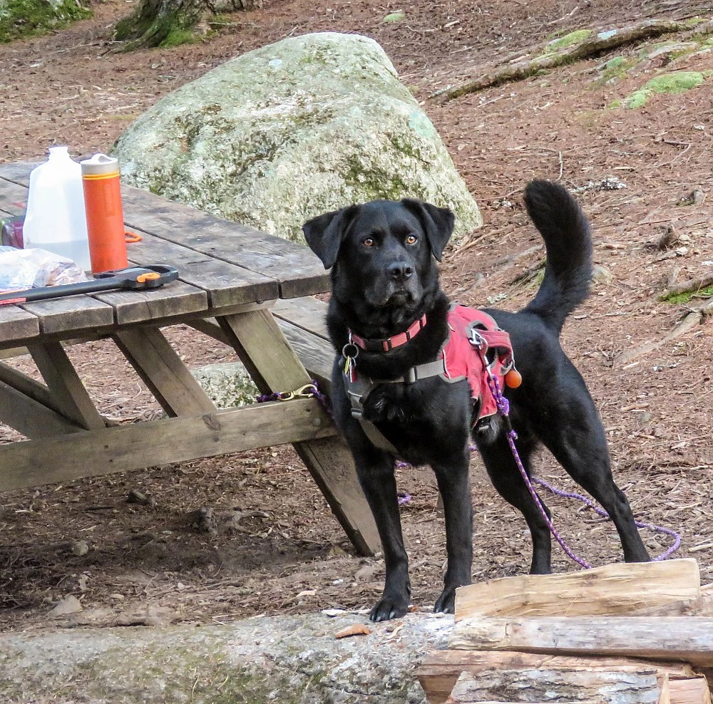 Grayl Ultralight - Image 3