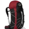 Osprey Hornet 46